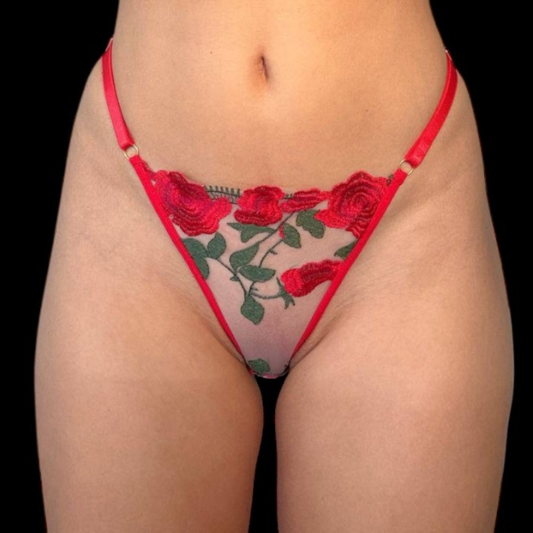 Red Floral Embroidered Lingerie Set